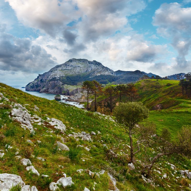paisaje-naturaleza-naturdela